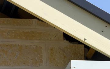 soffit repair Woodhouses