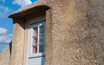 Woodhouses thatch roof disadvantages